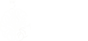 logotipo da pagina pedagogamente, imagem ilustrativa de um cérebro com um pequena coruja sentada sobre ele, ao lado escrito PEDAGOGA MENTE