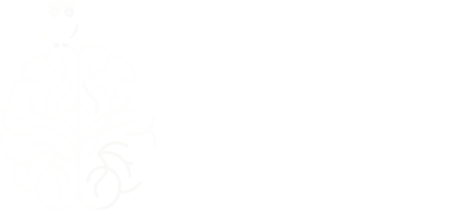 logotipo da pagina pedagogamente, imagem ilustrativa de um cérebro com um pequena coruja sentada sobre ele, ao lado escrito PEDAGOGA MENTE